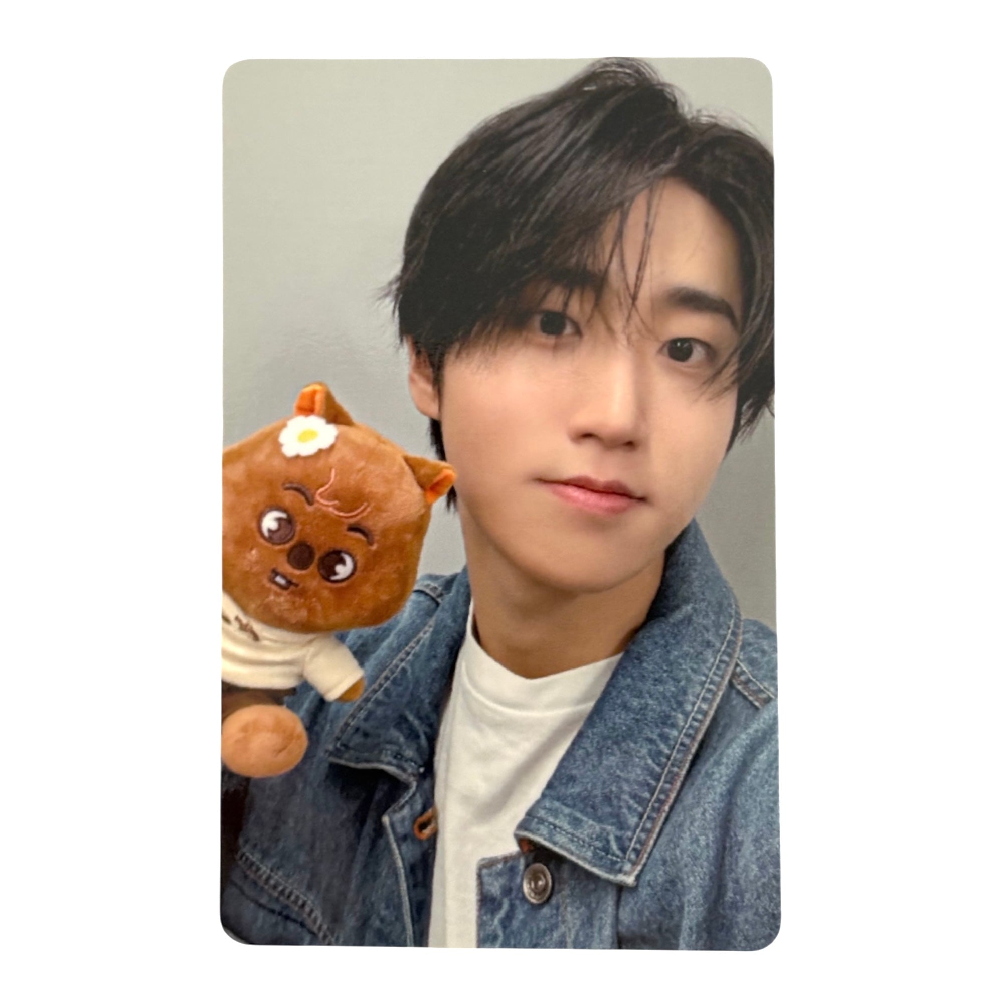 STRAY KIDS Photocard SKZOO Zootopia 2 - Neko Pop