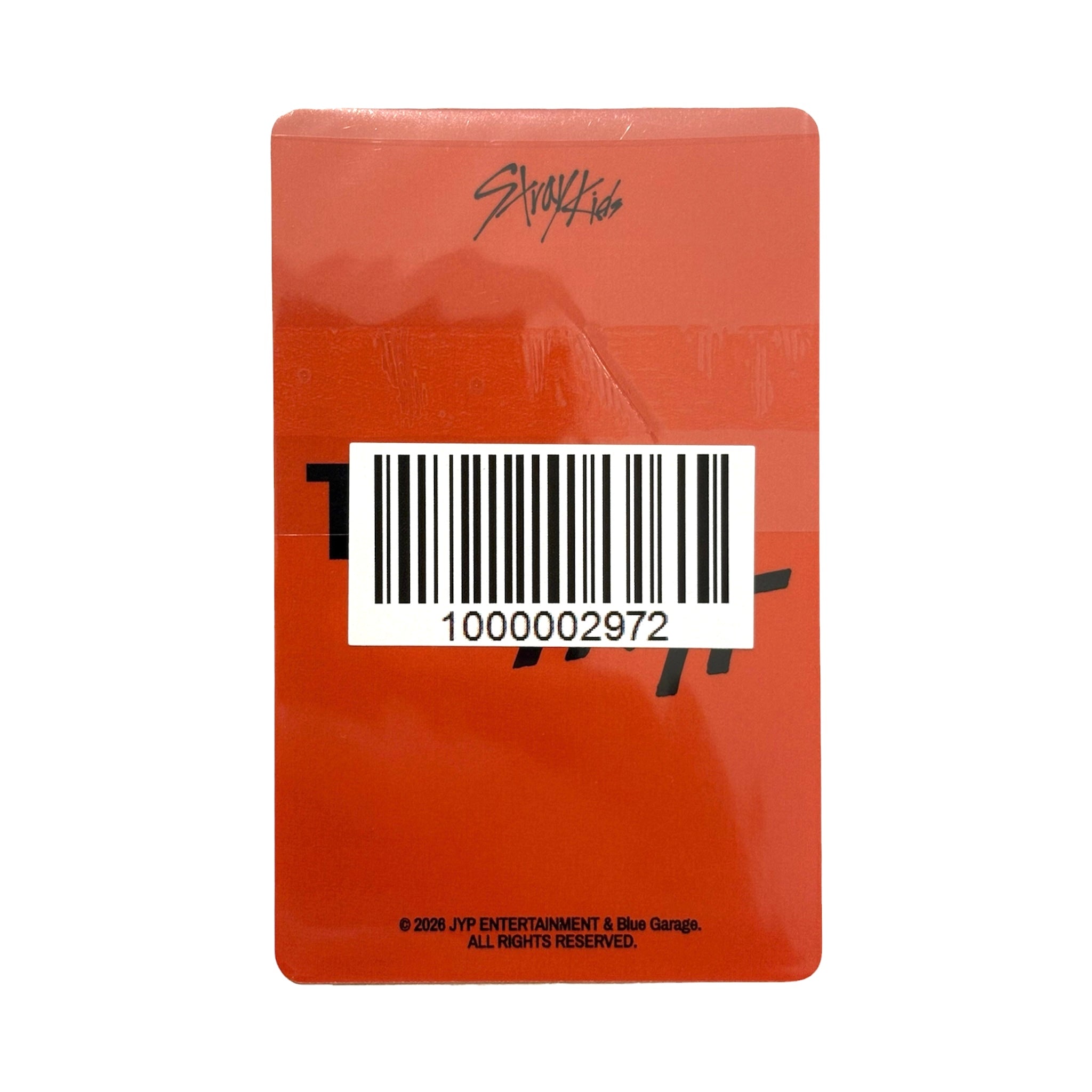 STRAY KIDS THIS & THAT FANS SHOP 2.0 POB