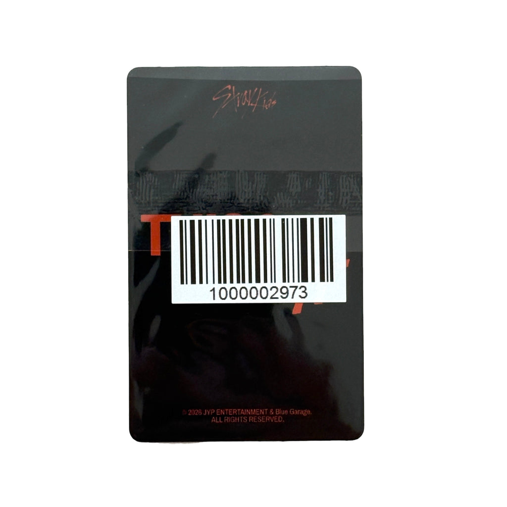 STRAY KIDS THIS & THAT FANS SHOP 1.0 POB