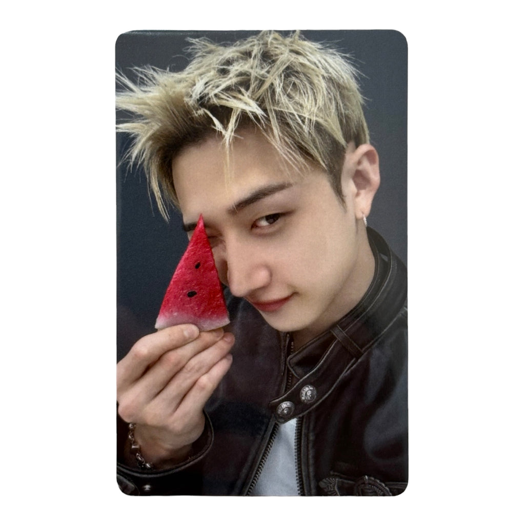 STRAY KIDS THIS & THAT FANS SHOP 2.0 POB