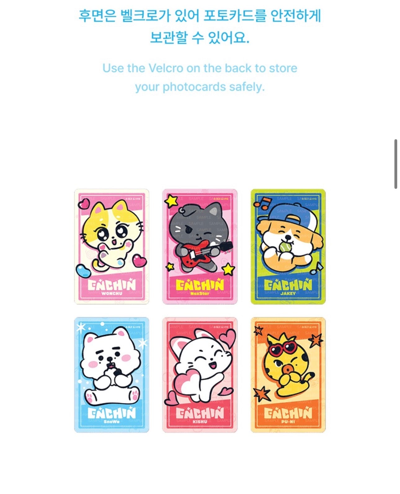 Photocard Holder ENHYPEN ENCHIN MD