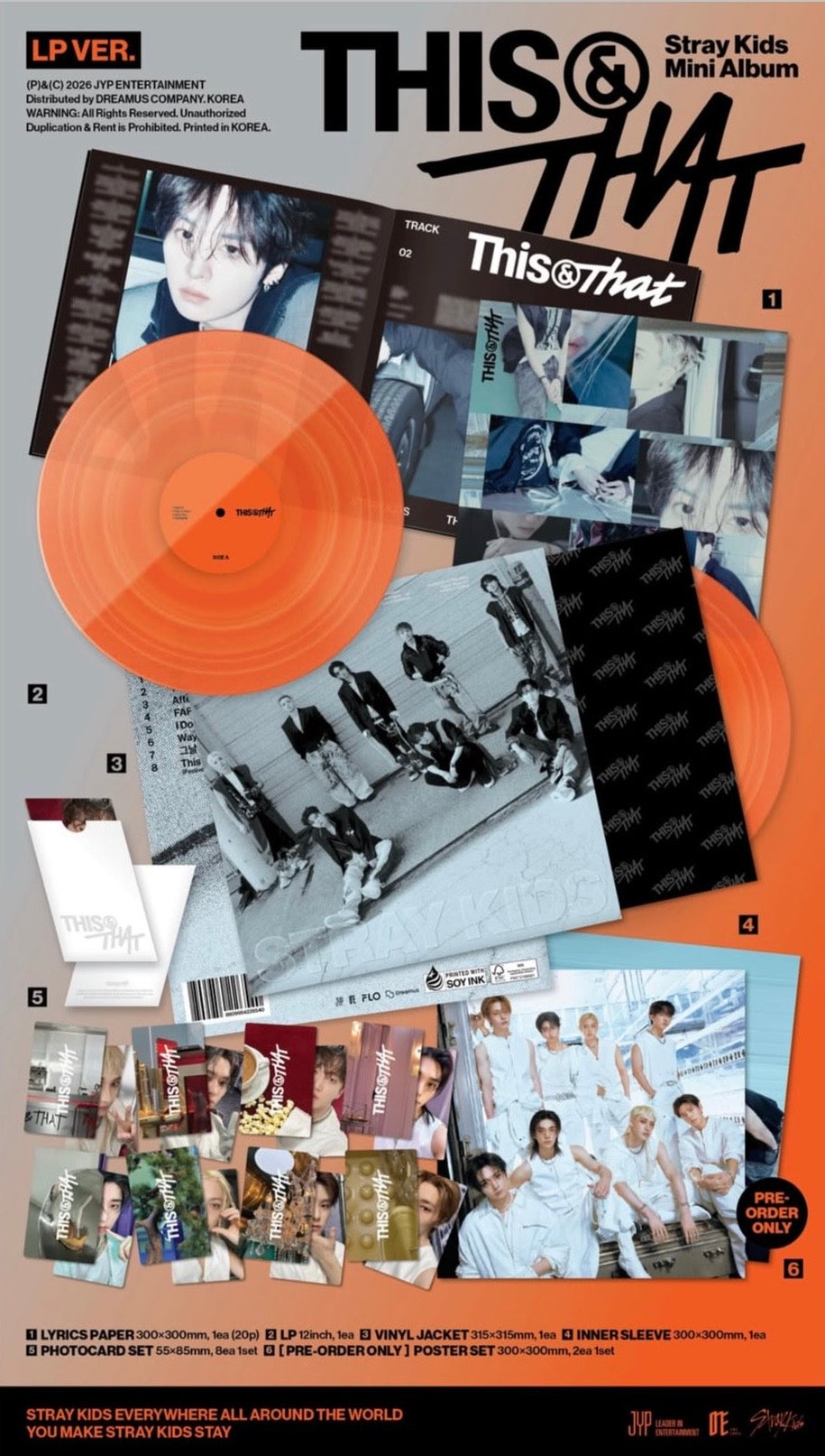 STRAY KIDS - THIS & THAT (LP VER.)