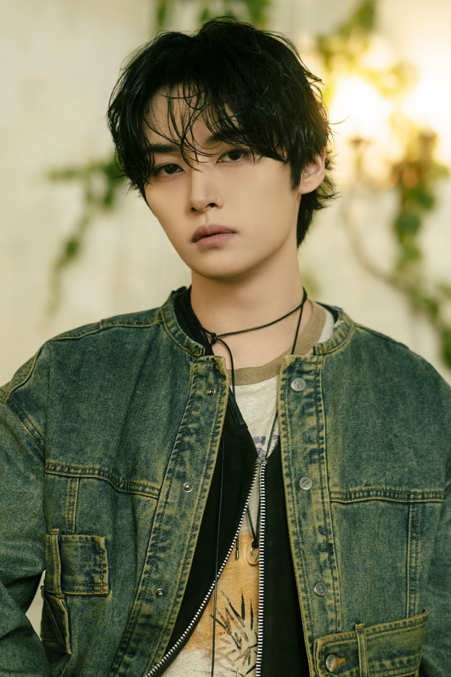 STRAY KIDS Poster HOLLOW 24x37 cm