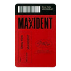 STRAY KIDS Photocard MAXIDENT Accordion