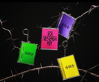 TXT – [7TH YEAR: A Moment of Stillness in the Thorns] (Photocard Case Ver.) - Neko Pop