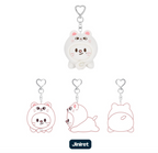 Stray Kids dominATE : celebrATE MD SKZOO KEYRING LYING Ver.