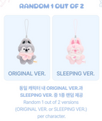 SKZOO SECRET PLUSH MICRO Ver. Stray Kids STAY in Our Little House MD