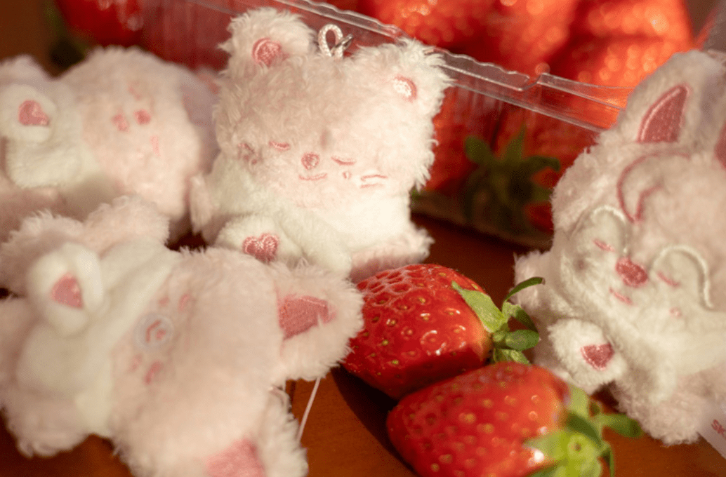 SKZOO SECRET PLUSH MICRO Ver. Stray Kids STAY in Our Little House MD - Neko Pop