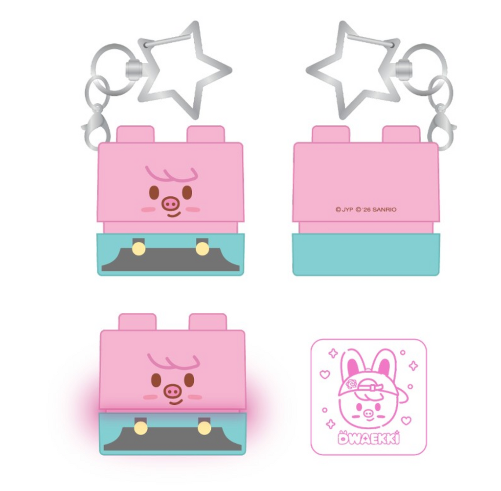 Stray Kids SKZOO X SANRIO CHARACTERS SECRET BLOCK STAMP