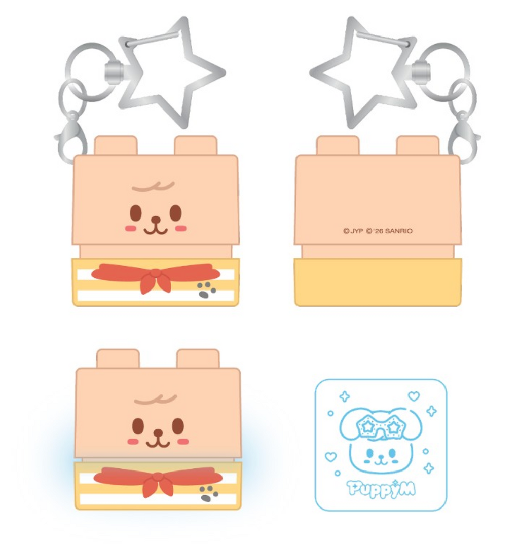 Stray Kids SKZOO X SANRIO CHARACTERS SECRET BLOCK STAMP
