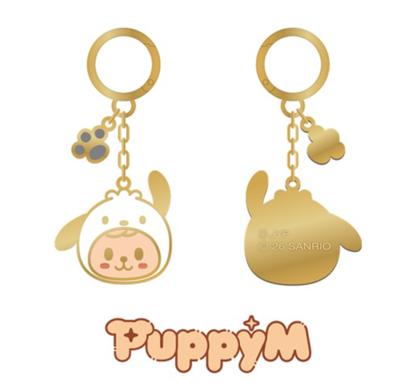 Stray Kids SKZOO X SANRIO CHARACTERS METAL KEYRING