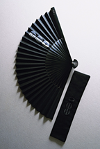 BTS ARIRANG MD Ventaglio Folding Fan