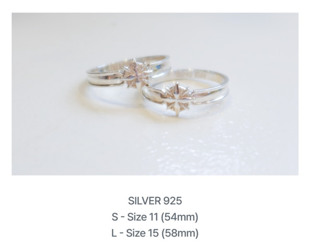 RING Stray Kids World Tour RUN IT MD