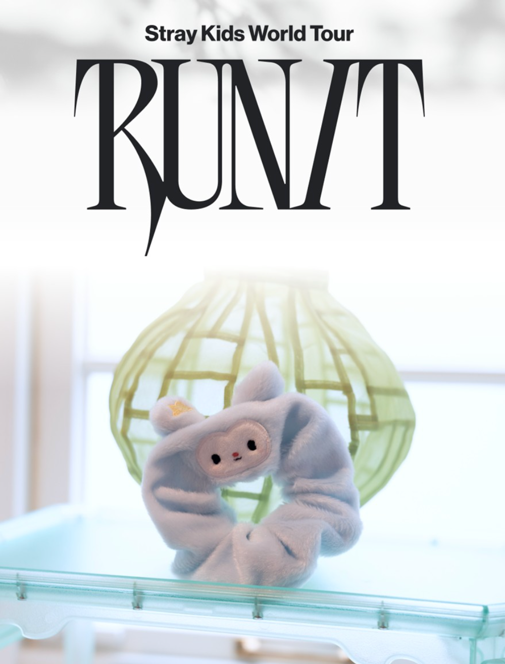 TASY SCRUNCHIE Stray Kids World Tour RUN IT MD