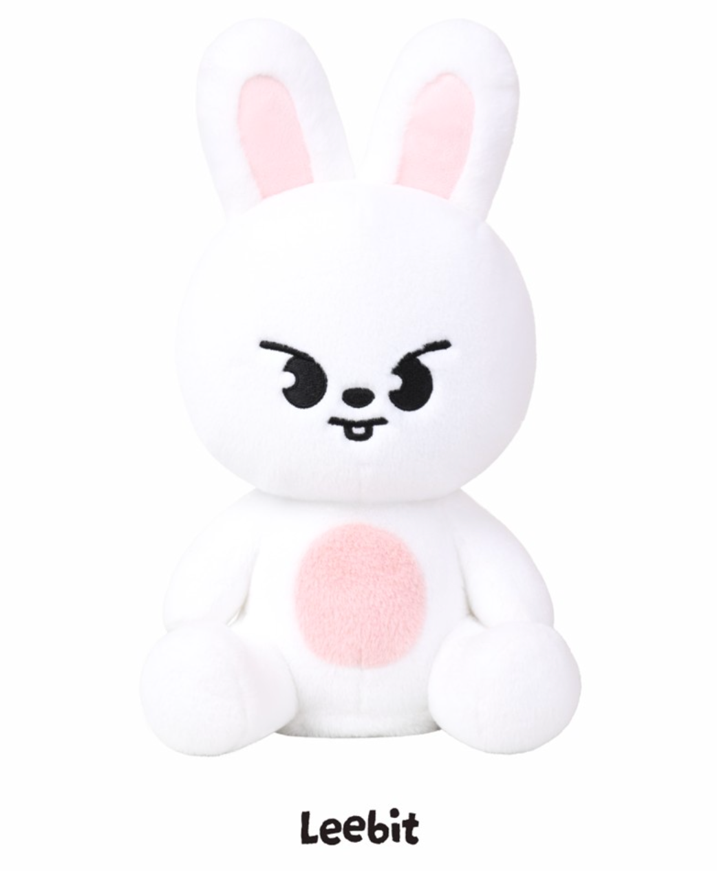 SKZOO PLUSH DANCING Ver. Stray Kids World Tour RUN IT MD