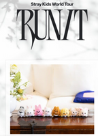 SKZOO SECRET WIND-UP PLUSH Stray Kids World Tour RUN IT MD
