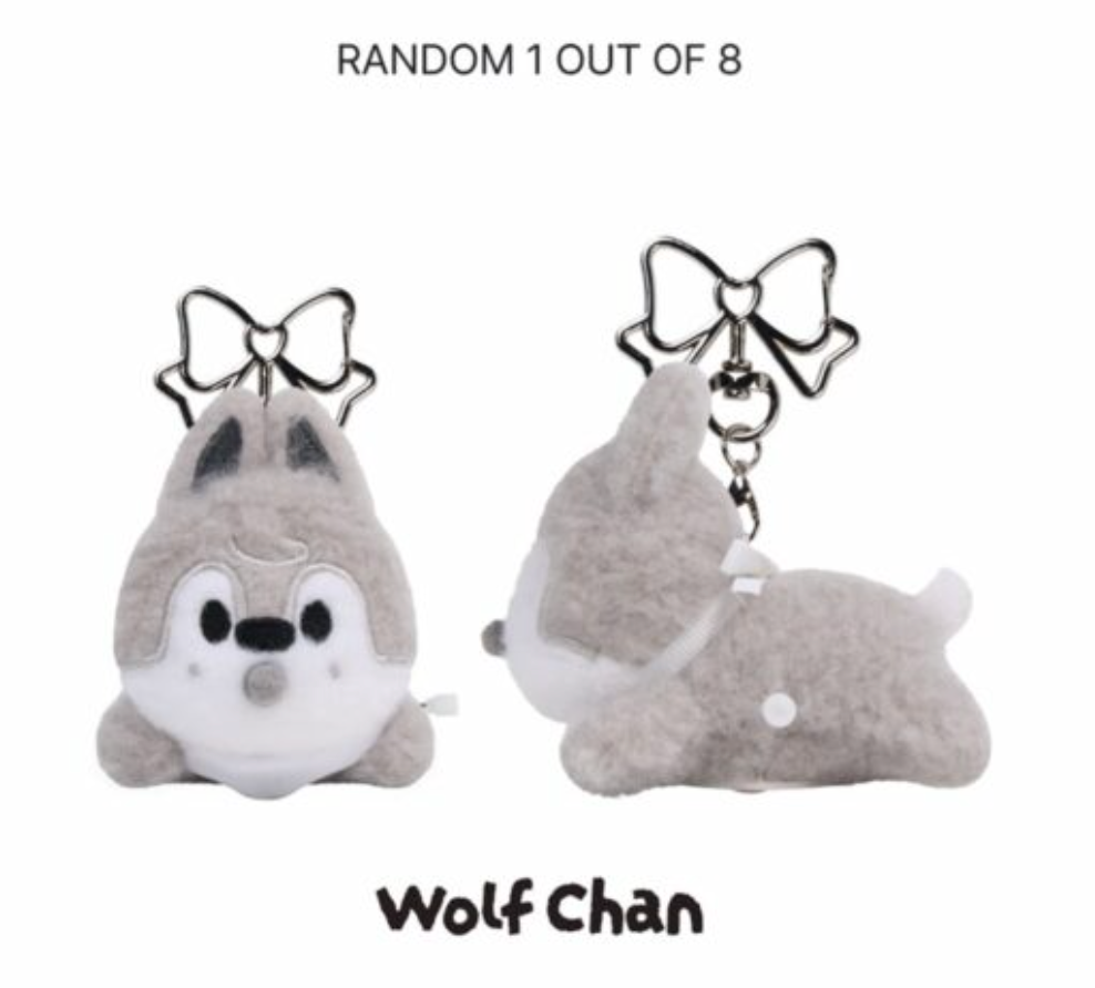 SKZOO SECRET WIND-UP PLUSH Stray Kids World Tour RUN IT MD