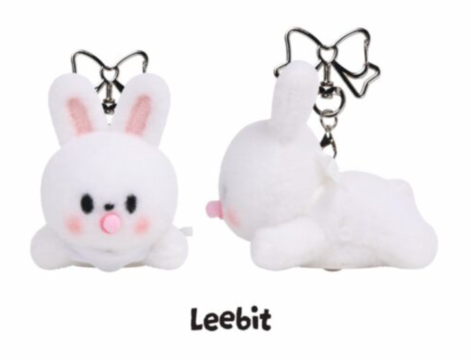 SKZOO SECRET WIND-UP PLUSH Stray Kids World Tour RUN IT MD