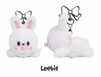 SKZOO SECRET WIND-UP PLUSH Stray Kids World Tour RUN IT MD