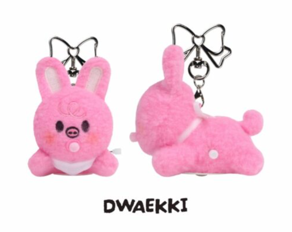 SKZOO SECRET WIND-UP PLUSH Stray Kids World Tour RUN IT MD