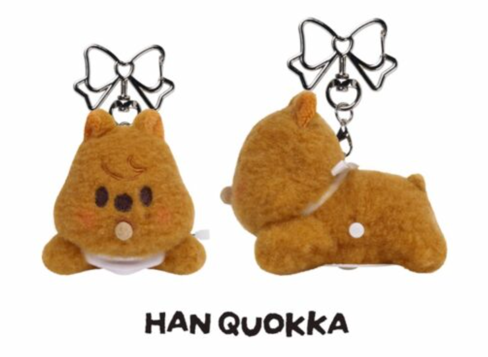 SKZOO SECRET WIND-UP PLUSH Stray Kids World Tour RUN IT MD