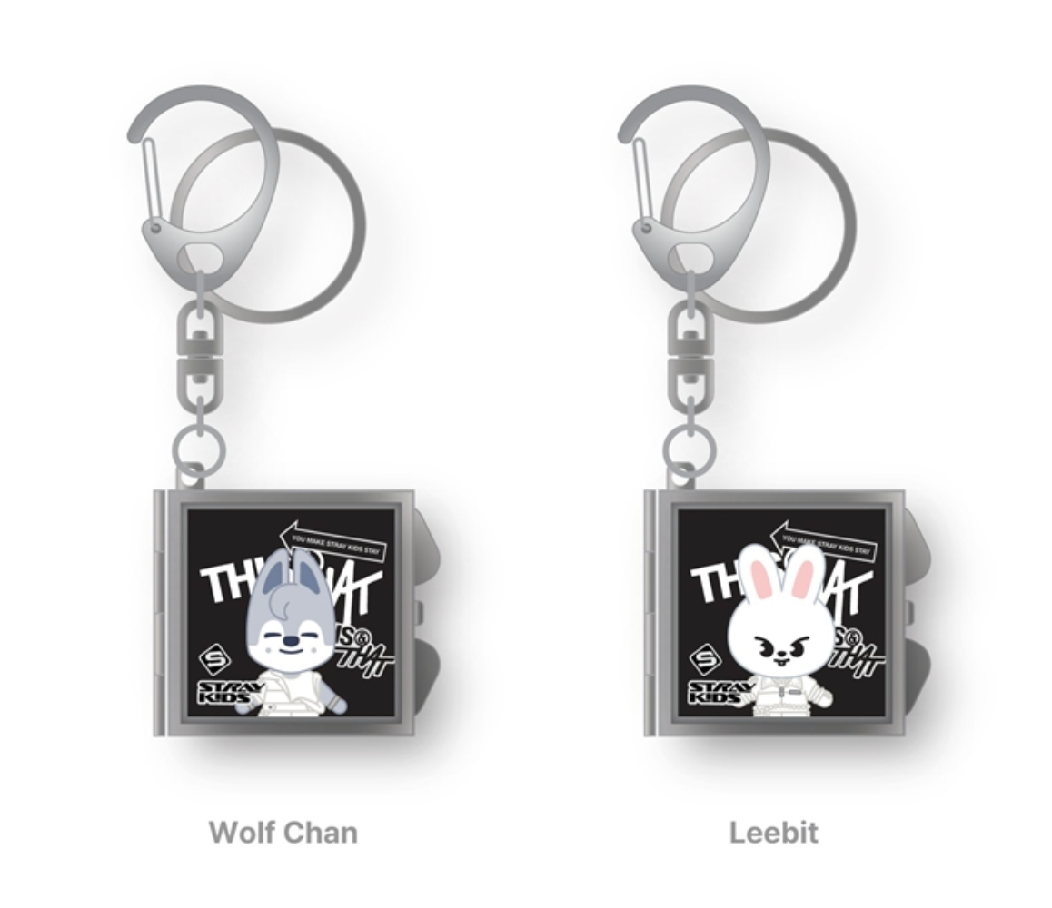 SKZOO MIRROR KEYRING Stray Kids THIS & THAT MD