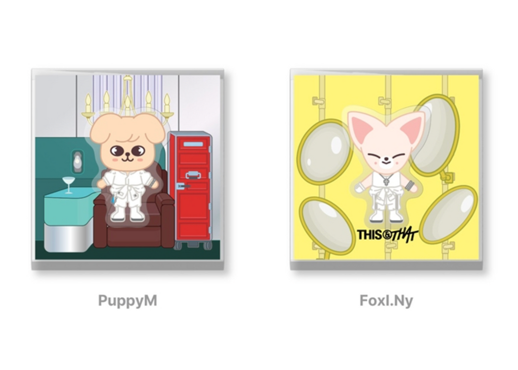 SKZOO SPINNING MAGNET Stray Kids THIS & THAT MD