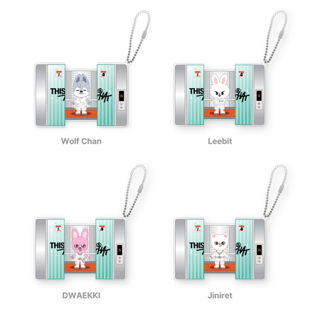 SKZOO CAPSULE ACRYLIC KEYRING Stray Kids THIS & THAT MD