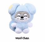 SKZOO PLUSH in TASY Stray Kids World Tour RUN IT MD