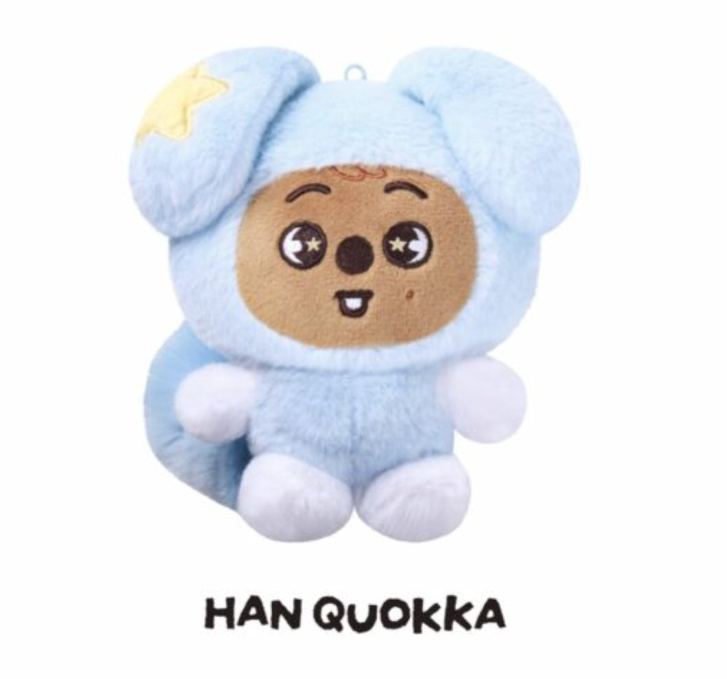 SKZOO PLUSH in TASY Stray Kids World Tour RUN IT MD