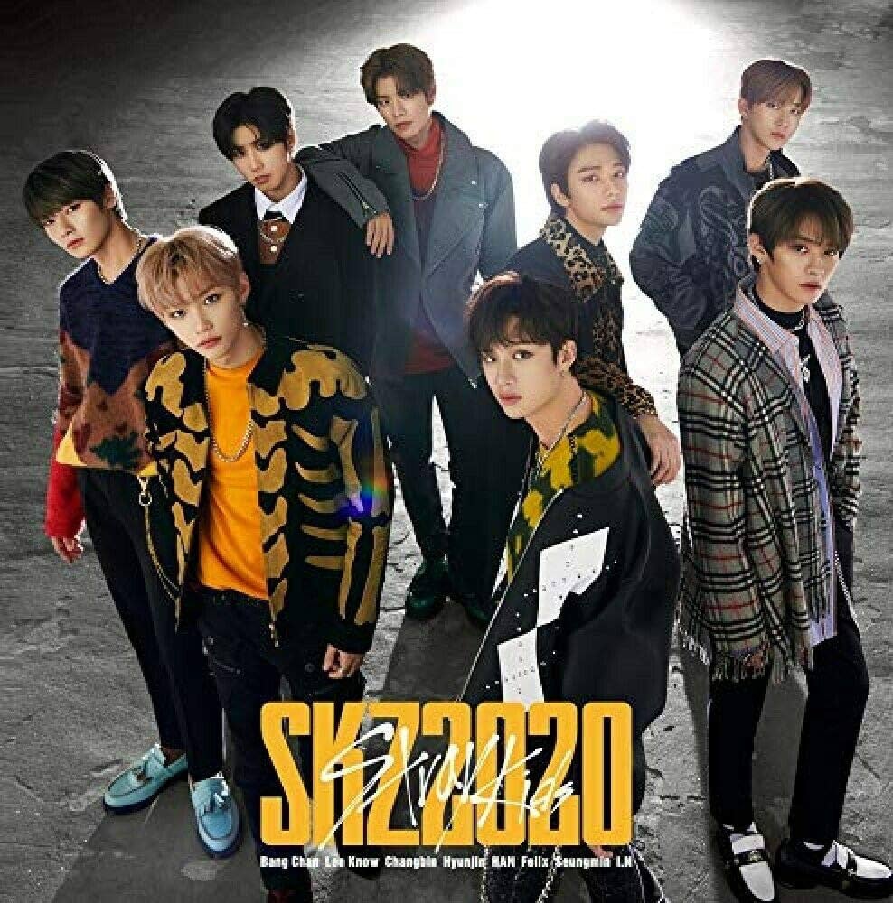 Stray Kids SKZ2020 First Press Limited Edition 2CD Japan Version