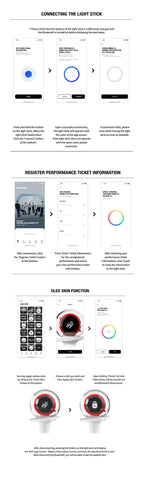 STRAY KIDS - OFFICIAL LIGHT STICK VER.2 - Neko Pop